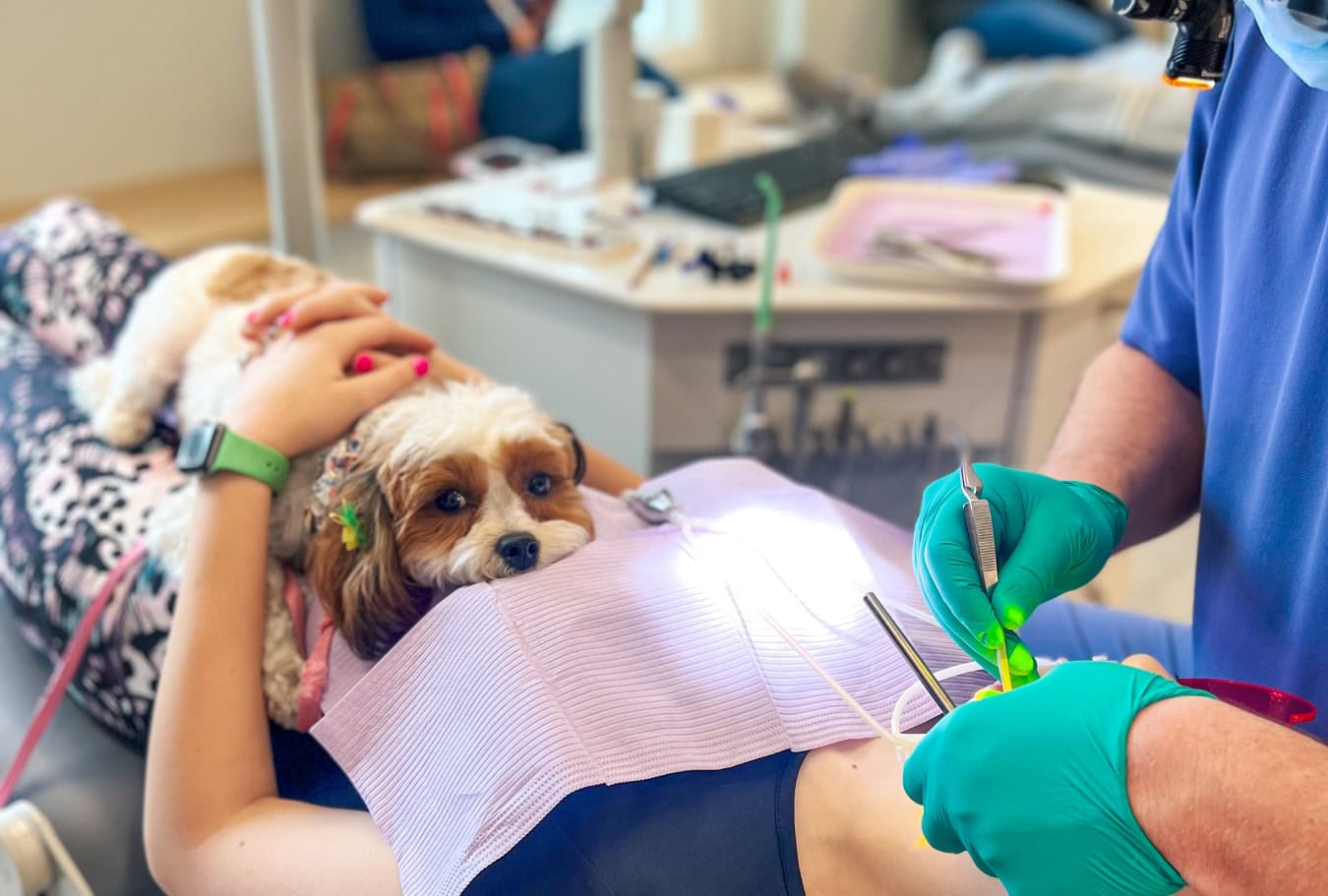 Orthodontic Emergencies